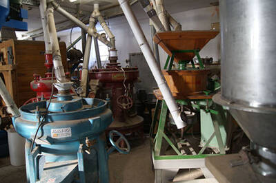 sonnenkissen bild mühle (Quelle: https://www.biokorn.at/buchweizenseiten/)